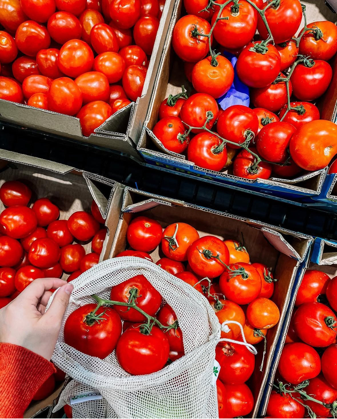 Жимс ногоо цуглуулах 3 хос уут