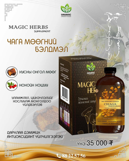 Чага мөөгний бэлдмэл