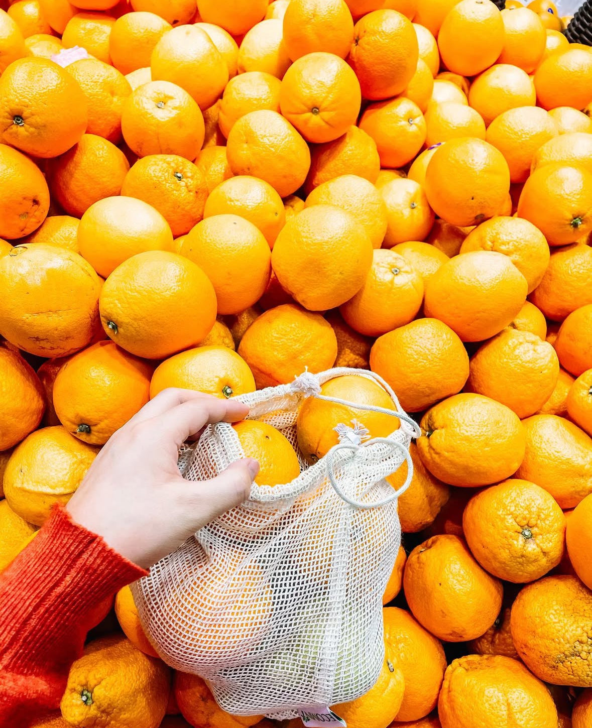 Жимс ногоо цуглуулах 3 хос уут