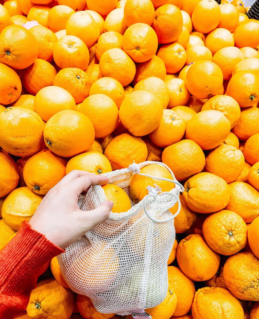 Жимс ногоо цуглуулах 3 хос уут