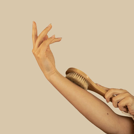 Dry brush ( Биеийн хуурай сойтог)